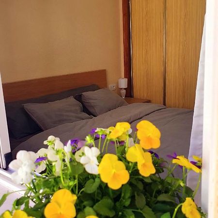 Isamar Apartamento Playa Del Cura 또레비에하 외부 사진