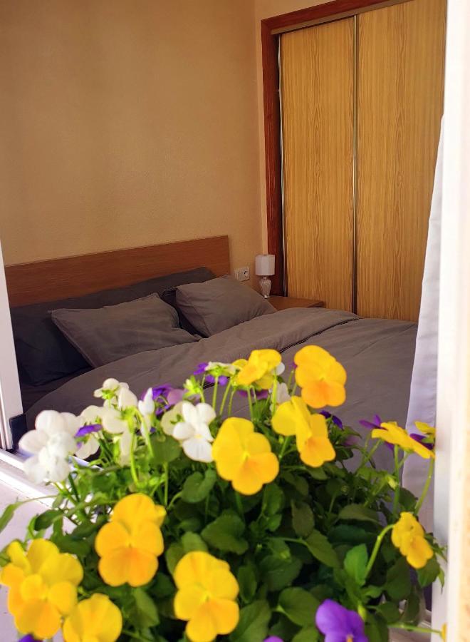 Isamar Apartamento Playa Del Cura 또레비에하 외부 사진
